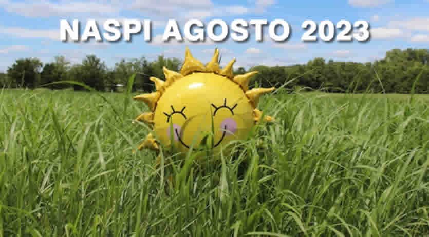 Ecco La Data Di Pagamento Della Naspi Inps Ad Agosto 2023 INFO