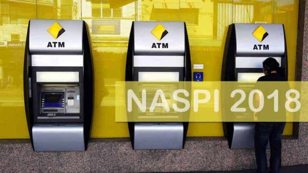 I Pagamenti della Naspi 2018