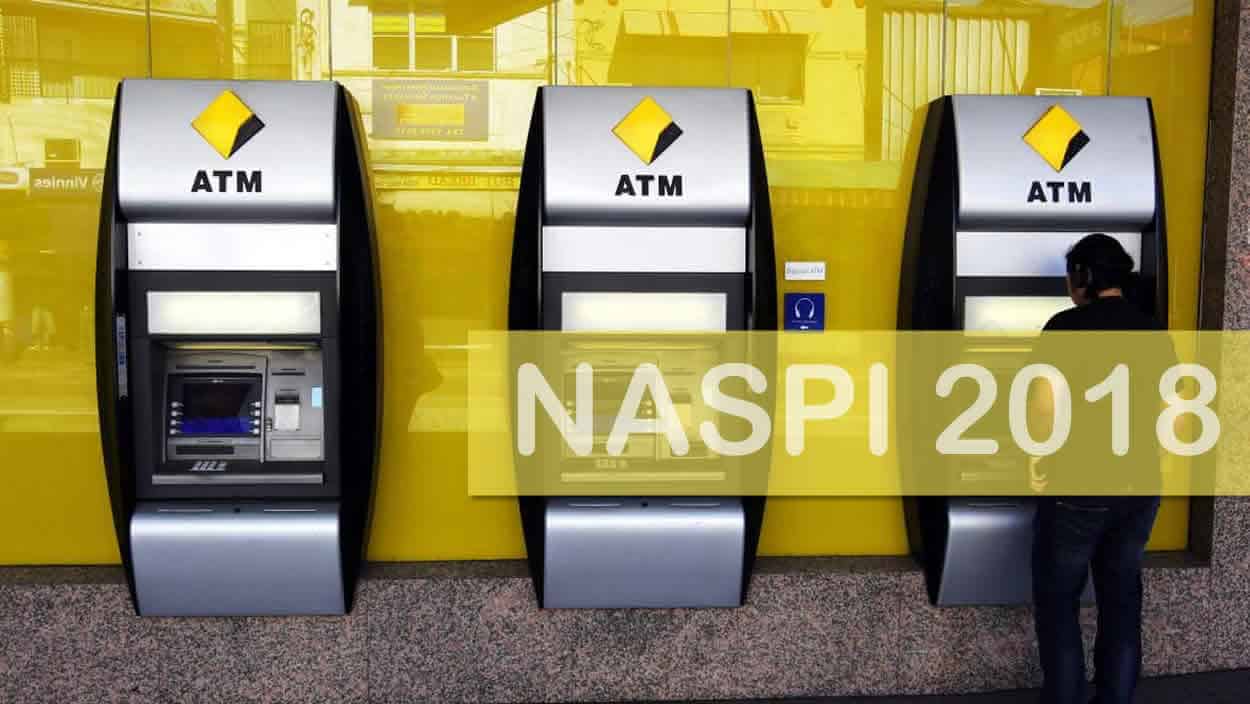 I Pagamenti della Naspi 2018