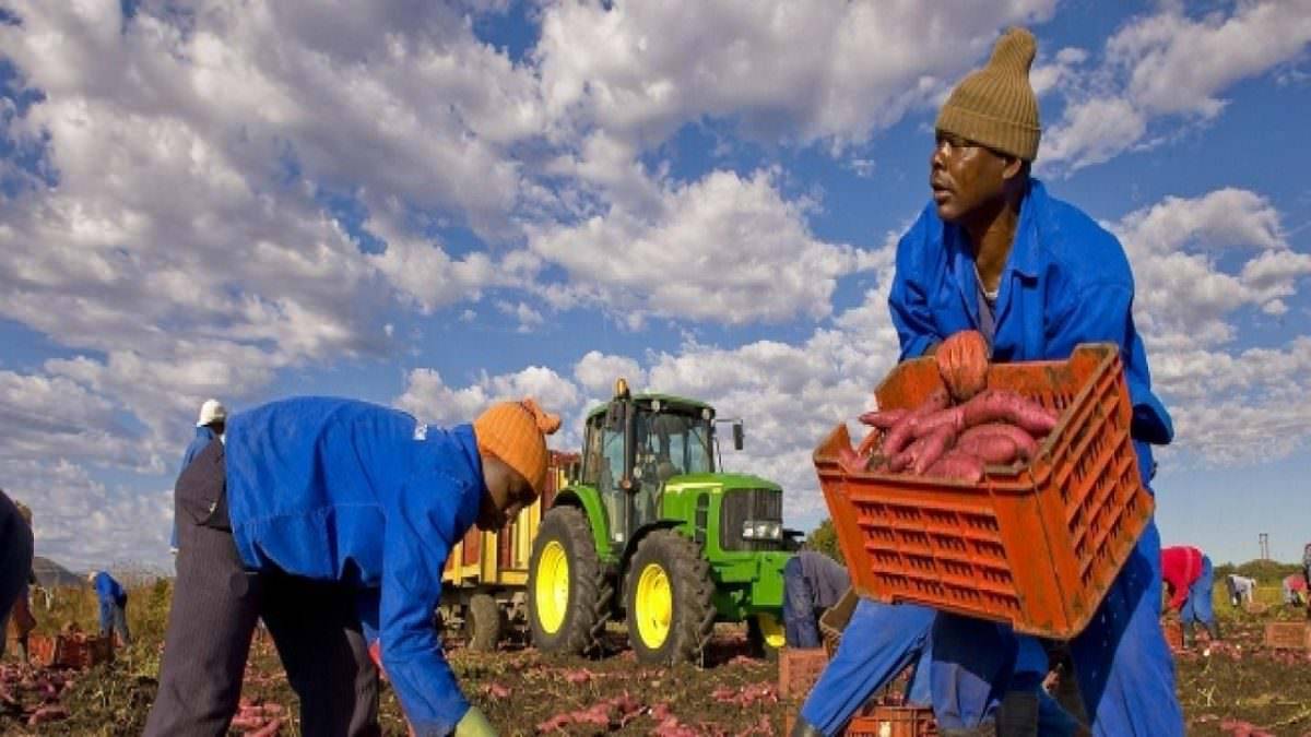 Il permesso di soggiorno è pronto? ecco come consultare la richiesta Consulta pratica permesso di soggiorno
