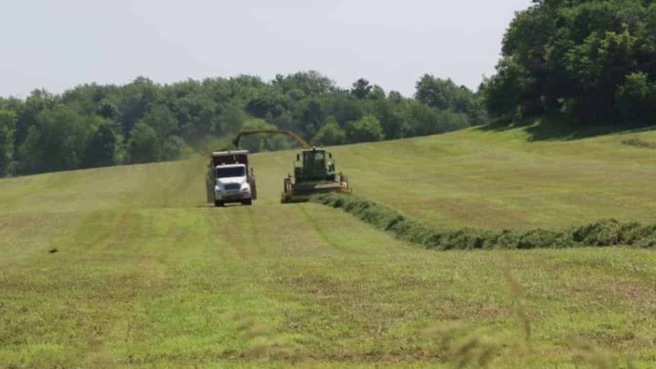 Pubblicazione Elenchi Lavoratori Agricoli Terza Variazione