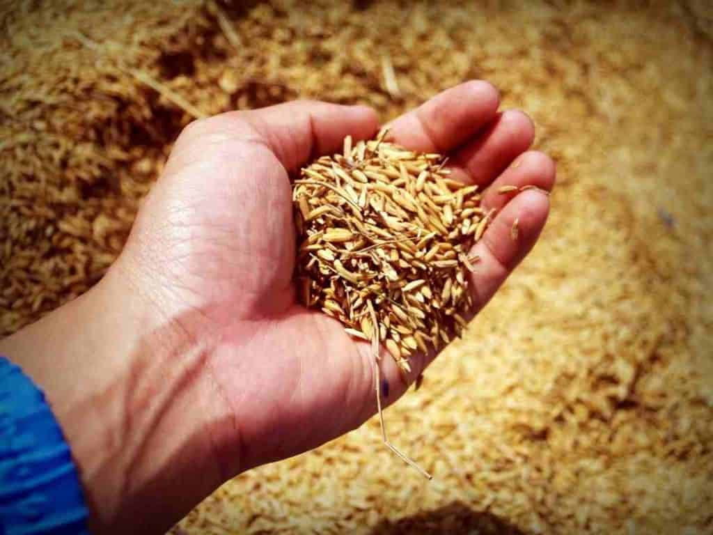 Disoccupazione agricola 2018 Inps