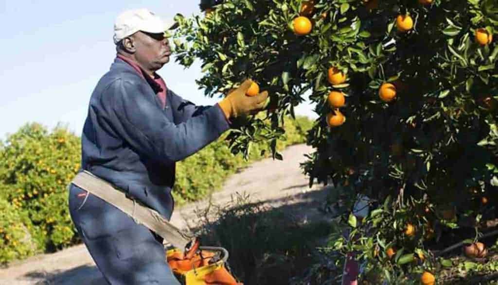 Elenchi lavoratori agricoli quarta variazione 2017