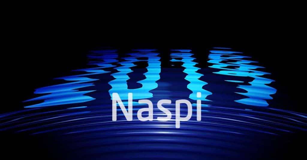 Durata Naspi 2019 - Domanda e documenti da presentare