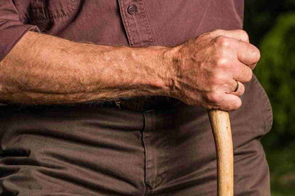 Come consultare il Cedolino pensione Ottobre 2018