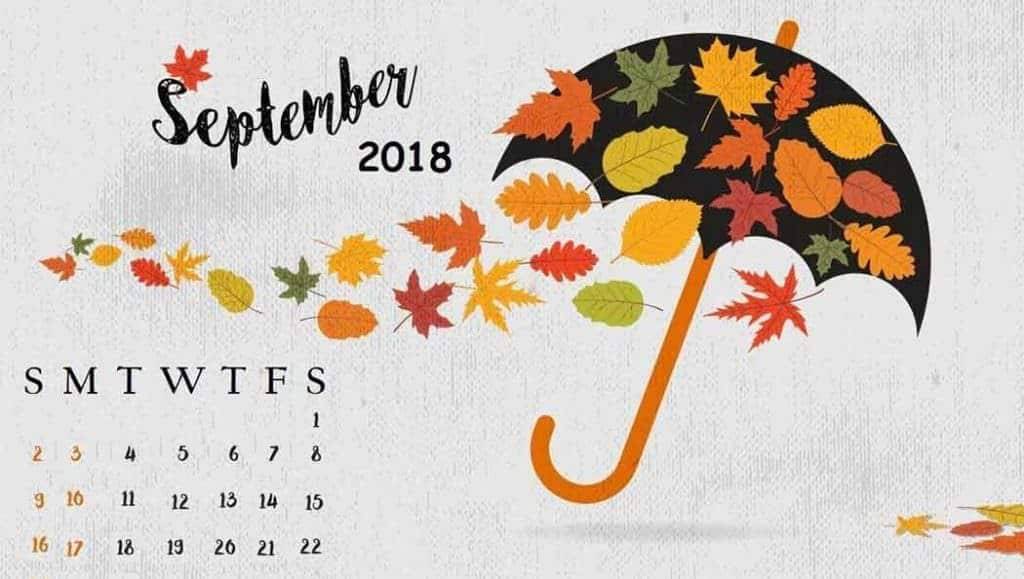 Quando arriverà il Pagamento Bonus Renzi Settembre 2018