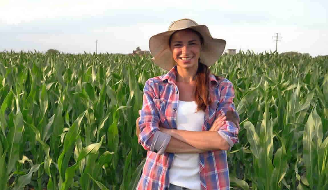 Come s'invia la domanda per la Disoccupazione Agricola 2019? quali i requisiti?
