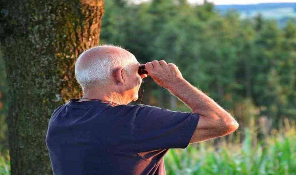 Pensione di vecchiaia 2019
