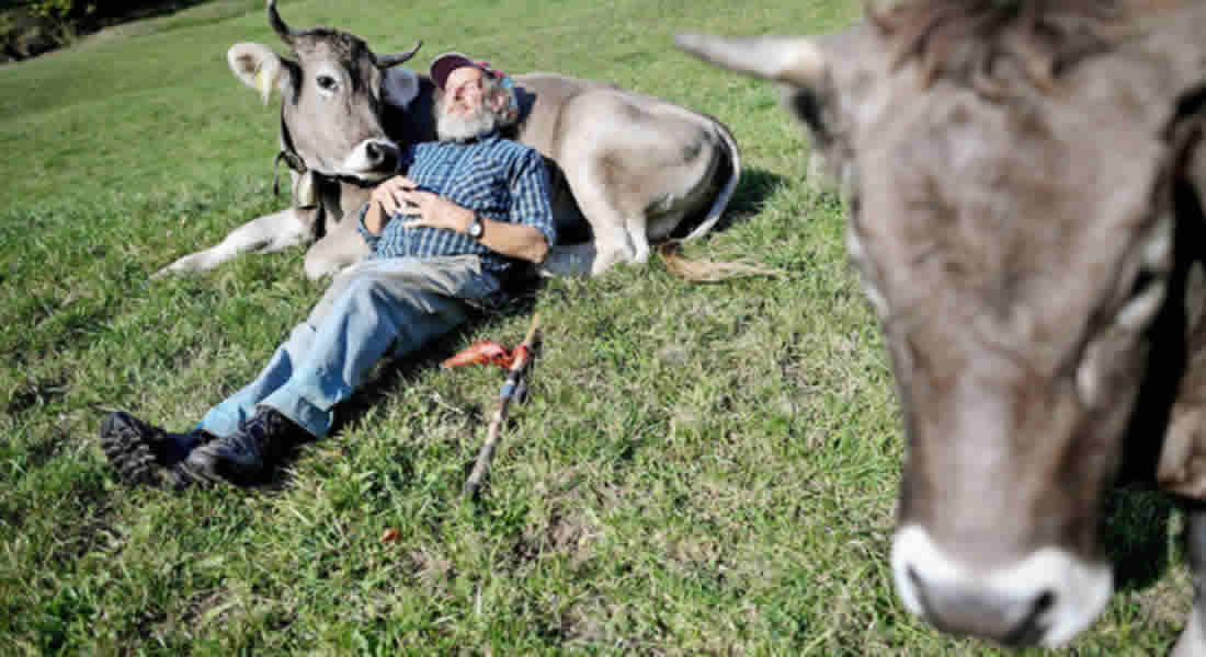 Quando pagano la disoccupazione Agricola 2019?