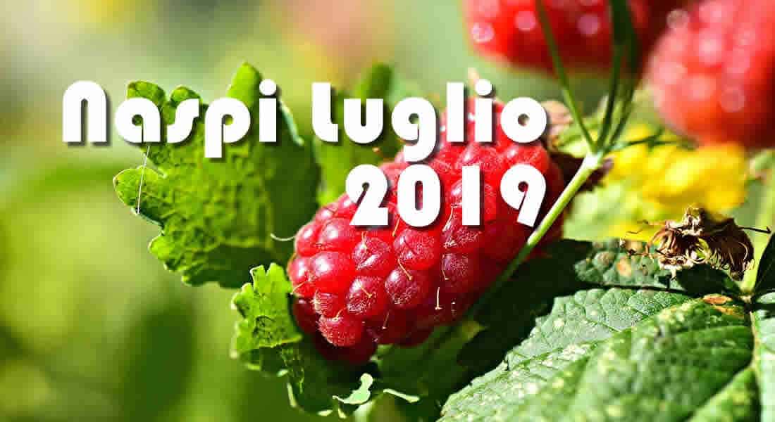 Quando arrivano i pagamenti Naspi a Luglio 2019