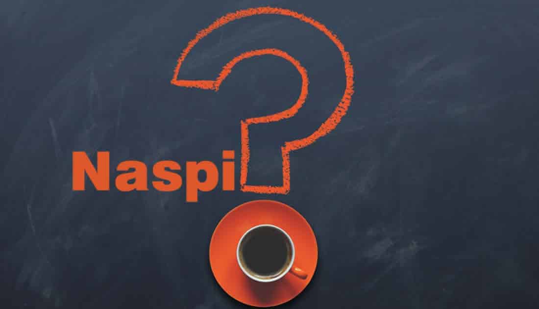 Che vuol dire Naspi? Cosa è la Naspi?