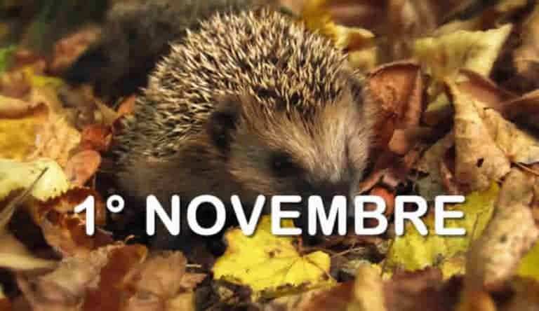 Che Festa è Il Primo Novembre Il primo Novembre Festivo? - 1 novembre festivo o feriale - Busta Paga