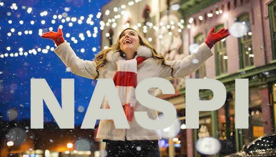Quando arrivano i pagamenti della Naspi a Dicembre 2019?