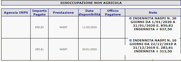 Esempio pagamento primi giorni Naspi