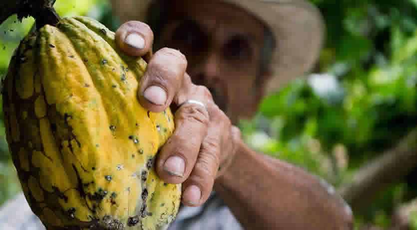 quando arriva rimborso 730 DS Agricola 2020?