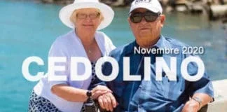 Come visualizzare Cedolino Pensione Inps Novembre 20