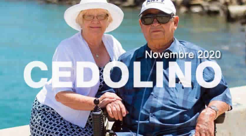 Come visualizzare Cedolino Pensione Inps Novembre 20