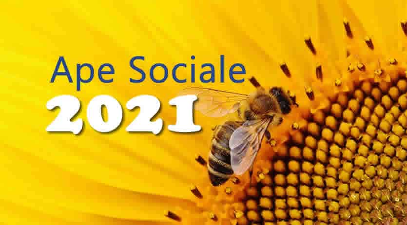Ape Social 2021