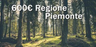 regione Piemonte e Bonus da 600 euro