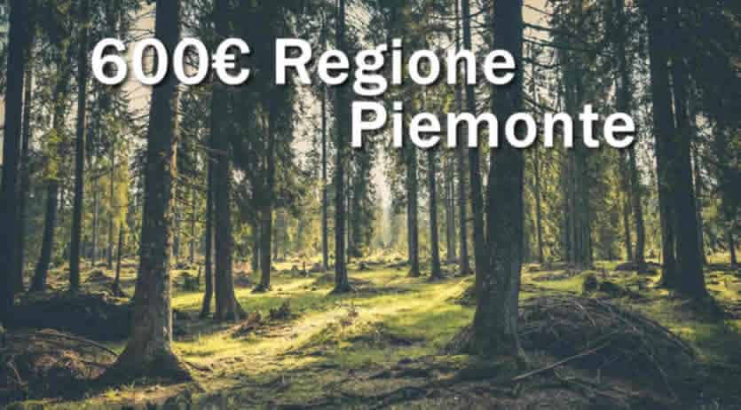 regione Piemonte e Bonus da 600 euro