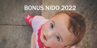 Come funziona il bonus asilo nido 2022?