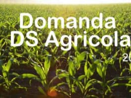 come si richiede la DS Agricola nel 2022?
