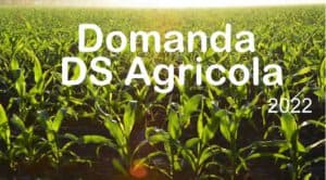 come si richiede la DS Agricola nel 2022?