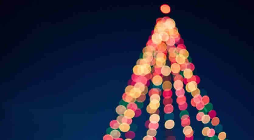 come viene pagata la festività dell'8 dicembre in busta paga?