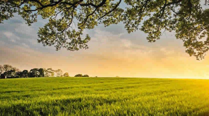 Quando pagano il Trattamento Integrativo sulla disoccupazione agricola 2023