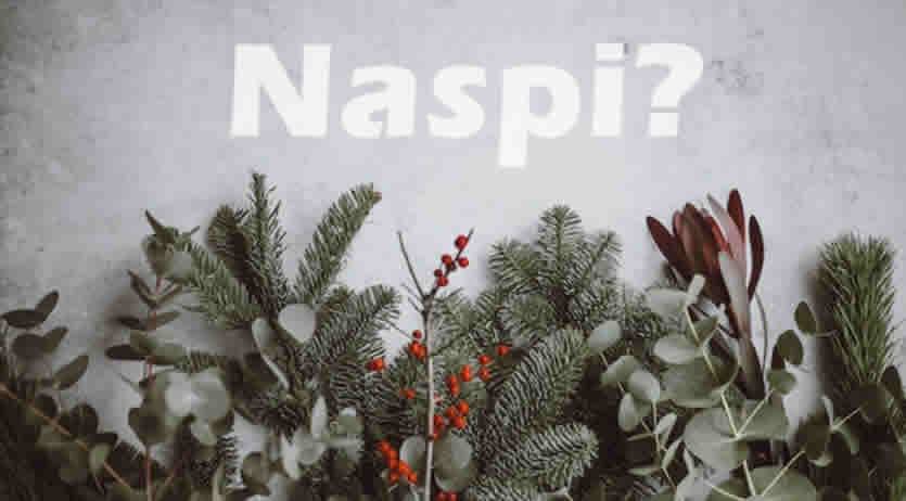 Disoccupazione INPS a Dicembre 2023?