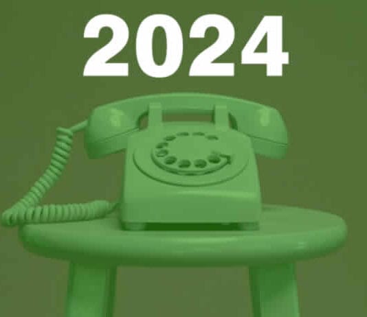 i numeri verdi INPS nel 2024