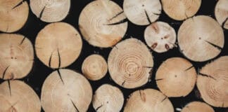 Ecco le nuove retribuzioni 2024 dei lavoratori del ccnl legno e arredamento industria