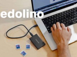 Cedolino INPS di Settembre 2024 online con Rimborsi e Aumenti