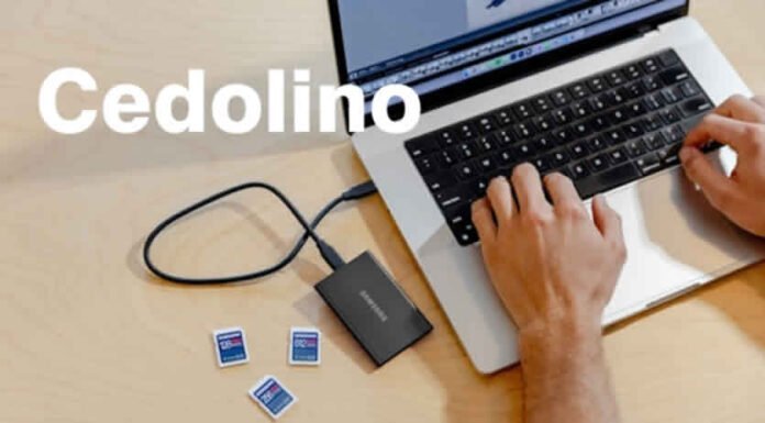 Cedolino INPS di Settembre 2024 online con Rimborsi e Aumenti