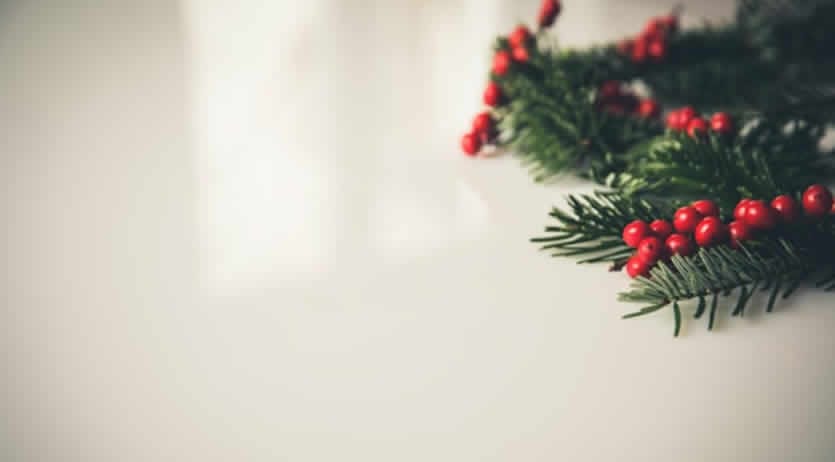 Festività 8 Dicembre 2024 in Busta-paga