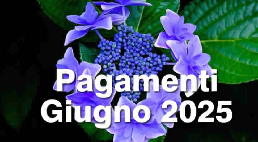 Calendario Pagamenti INPS a Giugno 2025 - tutte le date