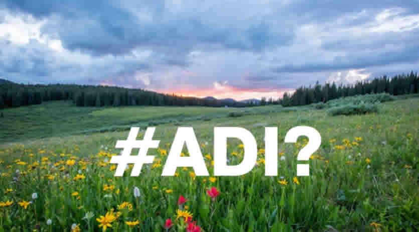 Assegno Inclusione ADI Giugno 2025 - quando pagano