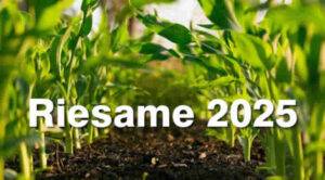 Riesame Disoccupazione Agricola 2025 - quando e come
