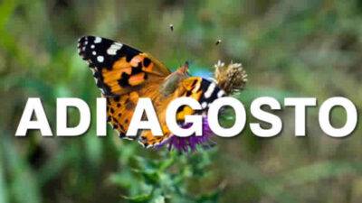 Assegno di Inclusione Agosto 2025 - Date ADI e BONUS INPS