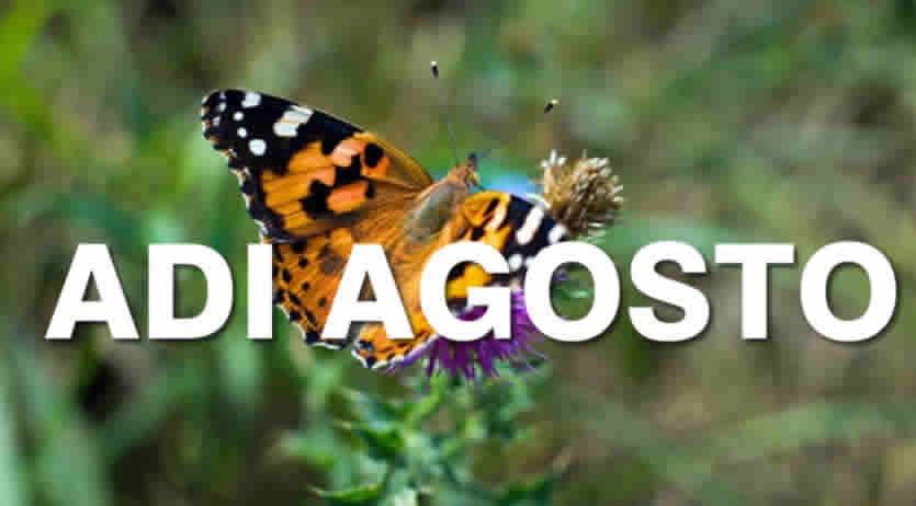 Assegno di Inclusione Agosto 2025 - Date ADI e BONUS INPS