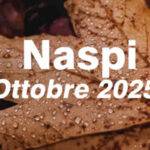 Naspi Ottobre 2025 - da quando dovrebbe essere visibile