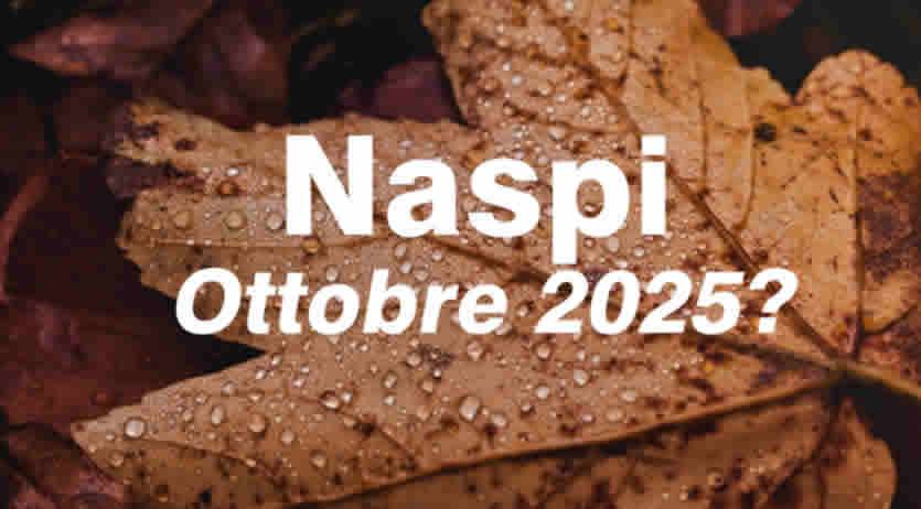 Naspi Ottobre 2025 - da quando dovrebbe essere visibile