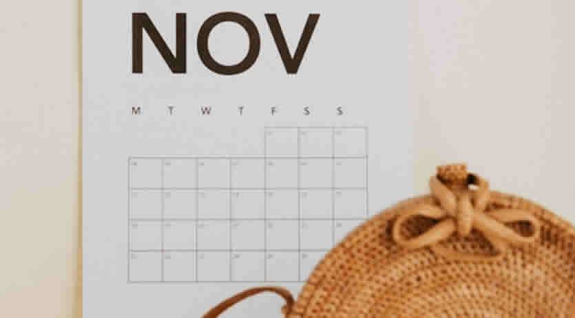 Cedolino INPS pensioni Novembre 2025 - Ritardi