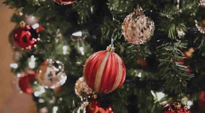 Festa Lavoro 8 Dicembre 2025 - come funziona