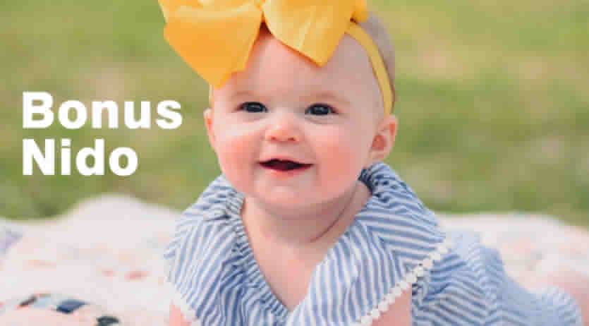 bonus nido 2026 inps come funziona quando fare domanda