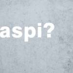 visibilità data elaborazione Naspi a Dicembre 2025