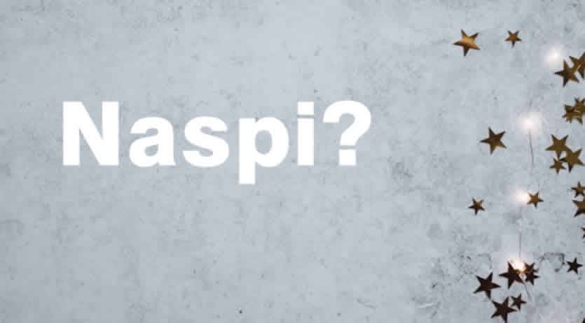 visibilità data elaborazione Naspi a Dicembre 2025