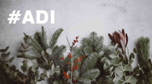 ADI dicembre 2025 primo pagamento e rinnovo domanda