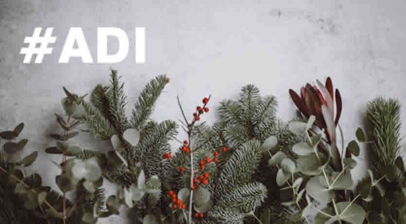 ADI dicembre 2025 primo pagamento e rinnovo domanda