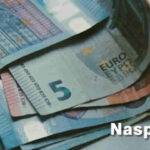 Disoccupazione Naspi 2026 - come funziona